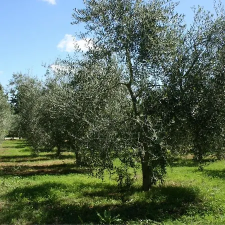 Santa Maria Appartamento